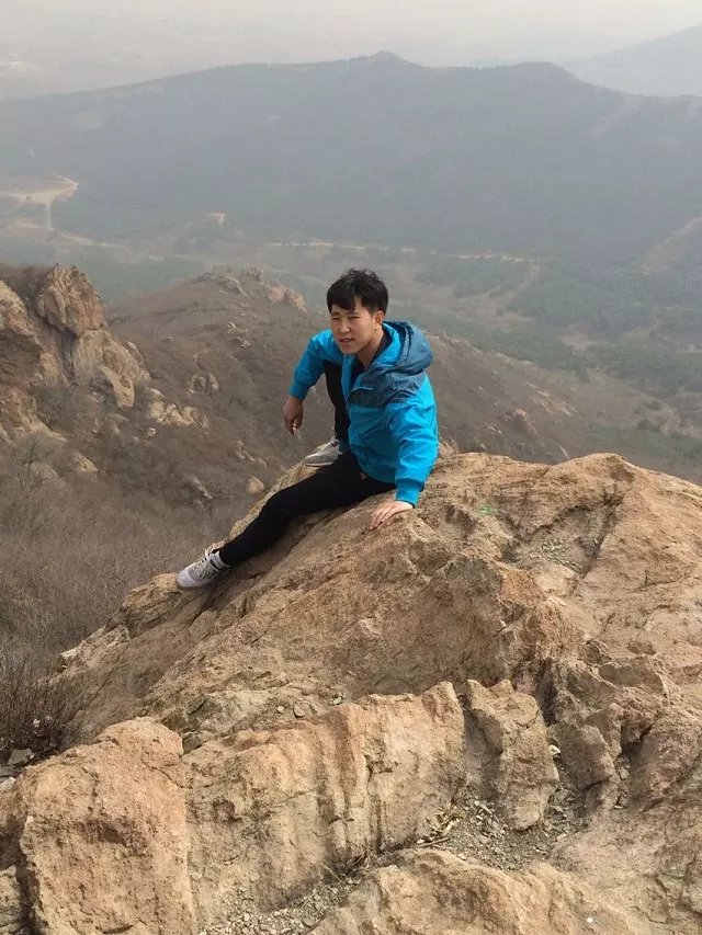 麻油叶